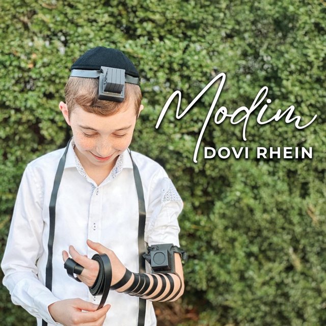 Modim (feat. Dovid Pearlman) cover art